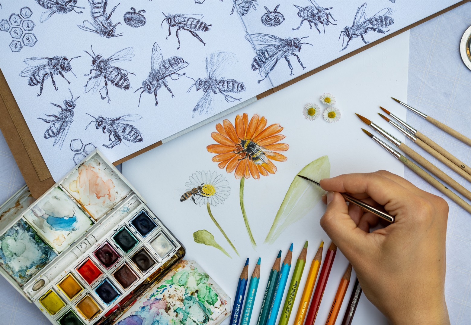 Arte e scienza si incontrano